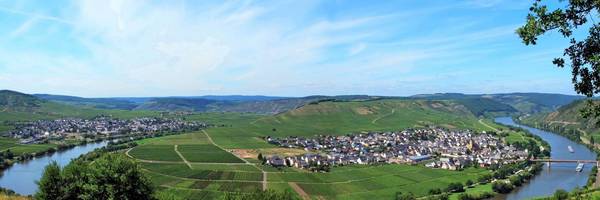 Moselschleife bei Trittenheim Panorama