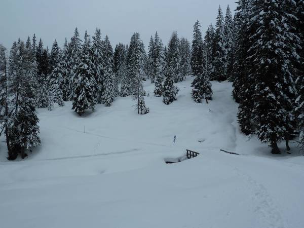 P1010322.JPG (315.96 KiB) 3972 mal betrachtet Nemes Alm ( Sexten )