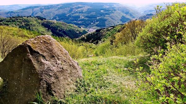 Blick vom Steinerberghaus