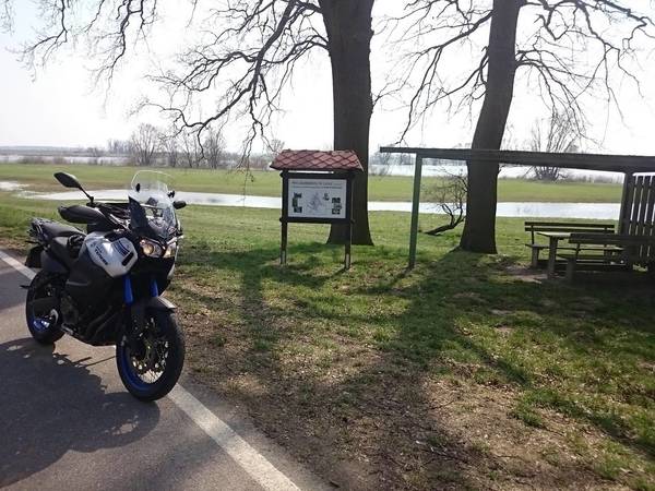 DSC_0439.JPG (513.43 KiB) 3130 mal betrachtet Hier turnte schon Turnvater Jahn. Bank in Lanz (Geburtsstadt von Turnvater Jahn) mit Blick auf die Elbe.