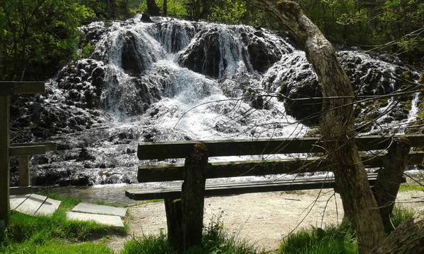 20180425_121543.jpg