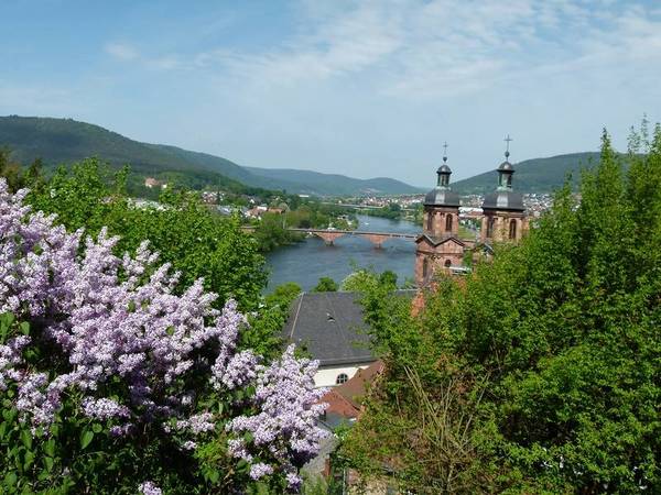 Miltenberg am Main