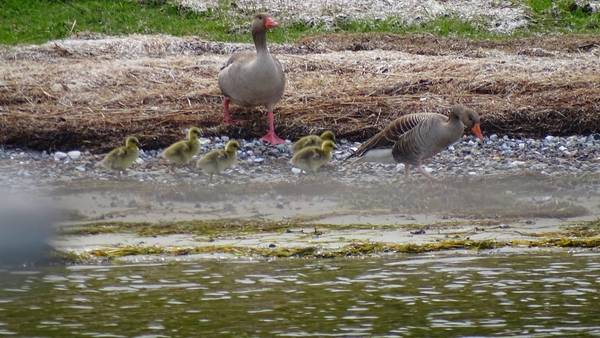 Familien Ausflug