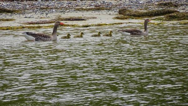 Familien Ausflug