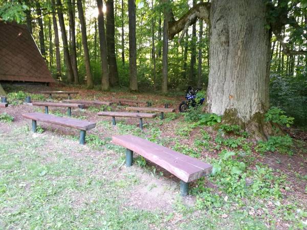 IMG_20180520_190311.jpg (459.75 KiB) 3011 mal betrachtet letztes WE in Thüringen ...