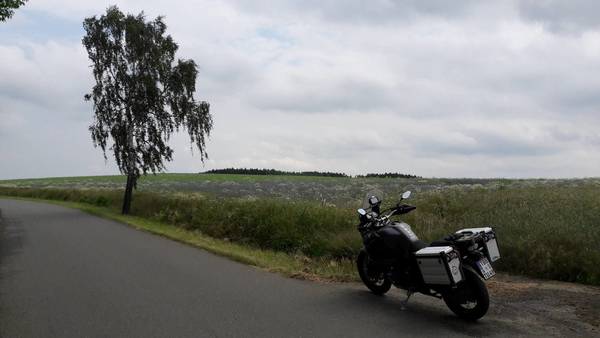 20180617_124326.jpg