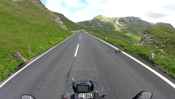 #Großglockner Murmeltier