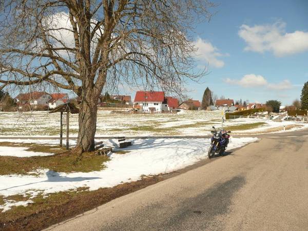 18-03-21-Mainh.Wald-3.JPG (151.62 KiB) 2717 mal betrachtet 180321-Mainh.Wald