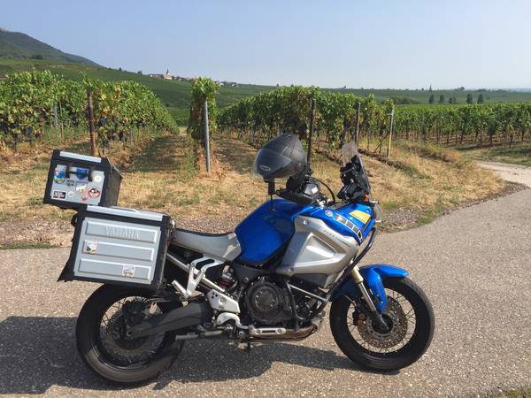 CFFC37A5-1A50-4C8E-B2B2-D6B9412E08D1.jpeg (928.89 KiB) 2891 mal betrachtet Ein herrlicher Tag in der Pfalz