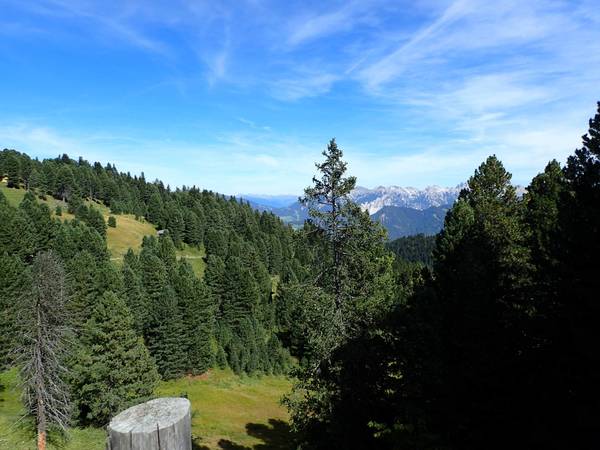 Weitblick
