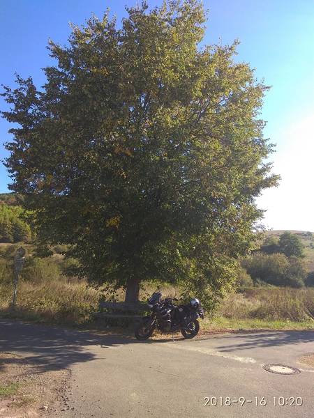 IMG_20180916_102031.jpg (607.21 KiB) 3053 mal betrachtet Rheinhesse hat auch schöne Bänke