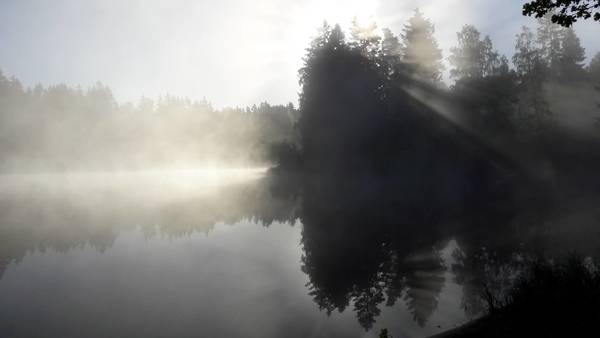 20180929_084420.jpg
