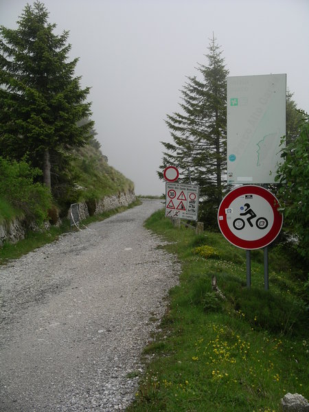IMGP2331.JPG
