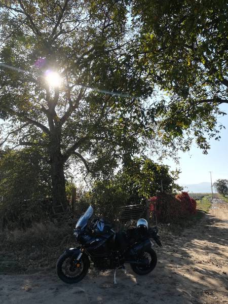 IMG_20181014_151819.jpg (562.55 KiB) 2399 mal betrachtet I'm Schatten Nähe Meckenheim