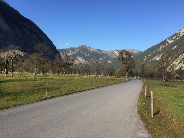 Großer Ahornboden