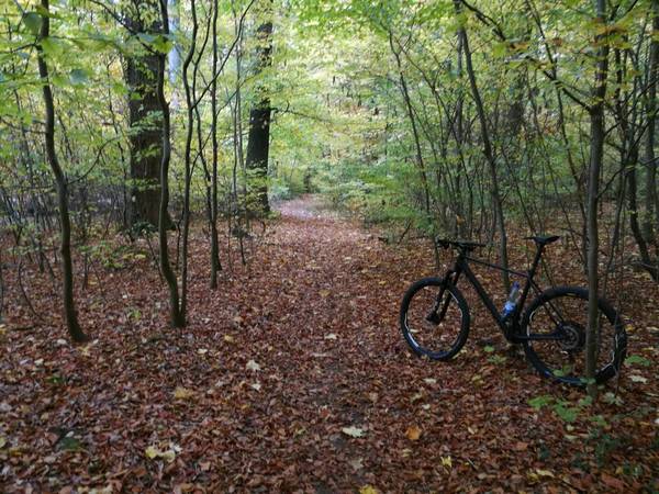 Sonntagsausflug.jpg (468.78 KiB) 3609 mal betrachtet Aufnahme vom Sonntag