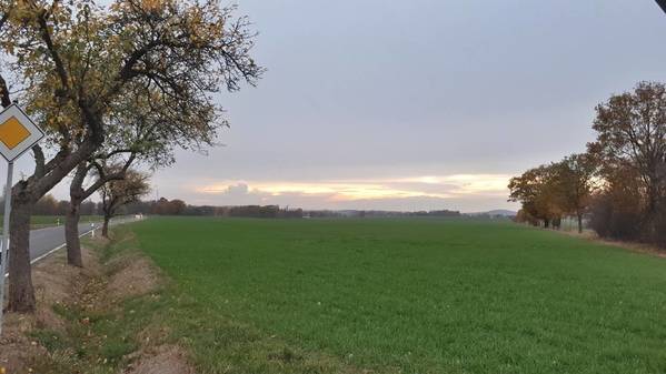 20181108_155303.jpg