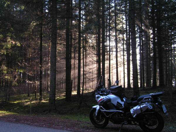 PICT0092.JPG