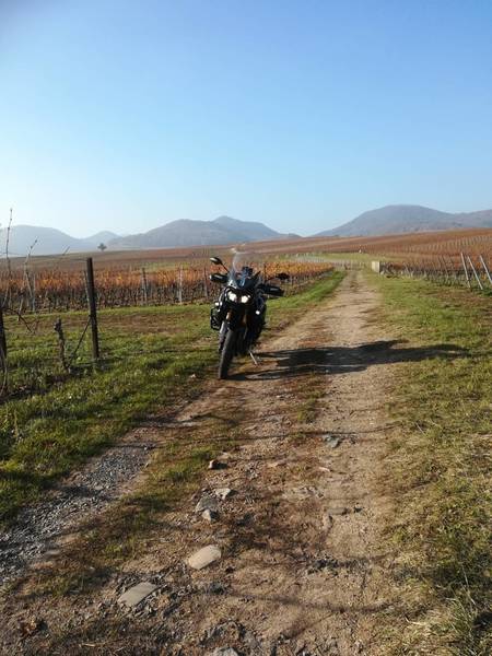 IMG_20181122_125212 (FILEminimizer).jpg (238.74 KiB) 2710 mal betrachtet Die Trauben sind geerntet und der Winter naht. Es war kalt, aber schön.