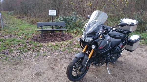 DSC_0415.JPG