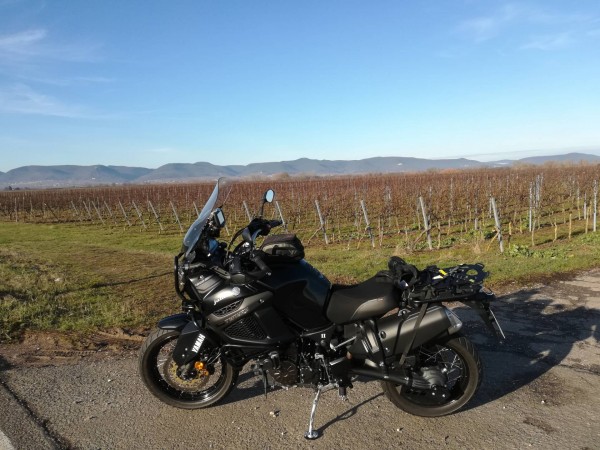 IMG_20181225_113158.jpg (371.33 KiB) 3017 mal betrachtet Im Hintergrund der Pfälzer Wald