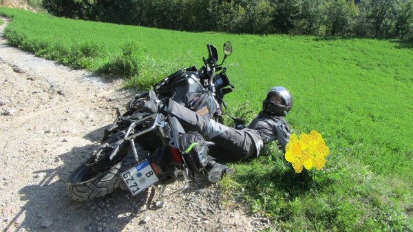 IMG-20180928-WA0001.jpg (295.16 KiB) 4807 mal betrachtet Blümchenpflücken in Perfektion!