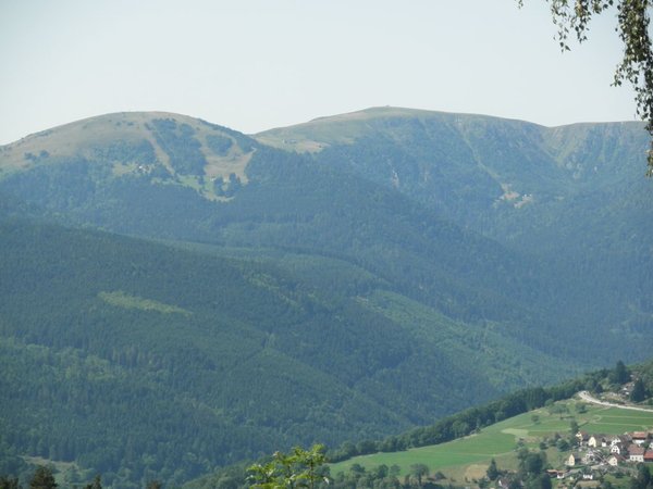 P2.jpg