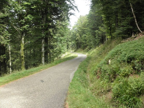 P4.jpg