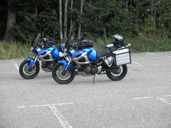 P6.jpg