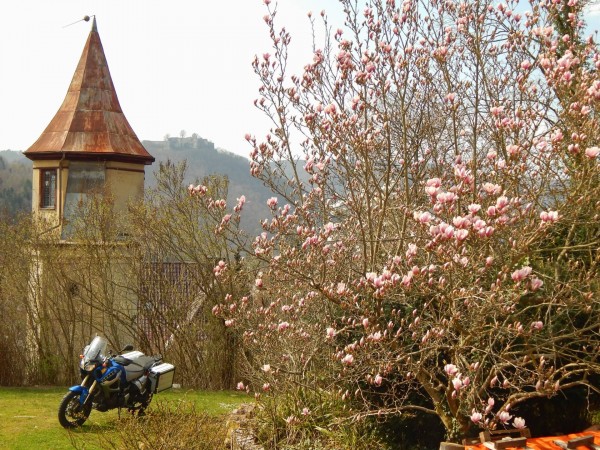 Frühling im Garten.jpg