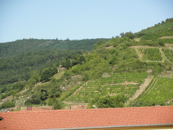 P7.jpg