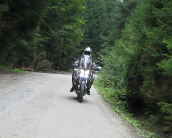 IMG_2891det.jpg