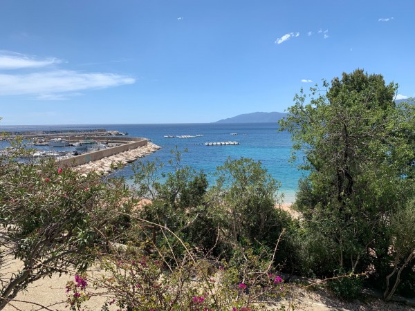 D027A9CB-BFD1-4943-9CE0-B11FEE207A7F.jpeg (956.23 KiB) 2874 mal betrachtet Sonne