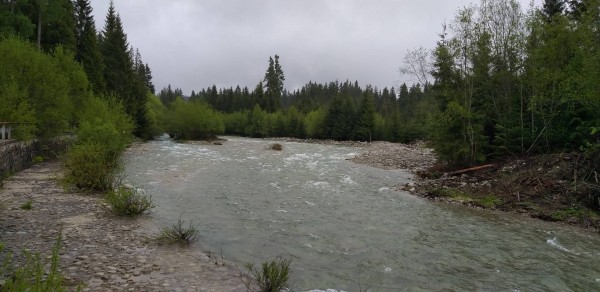 20190530_120216.jpg