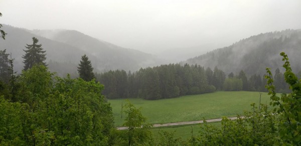 20190530_132656.jpg