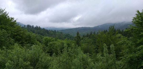 20190531_104344.jpg