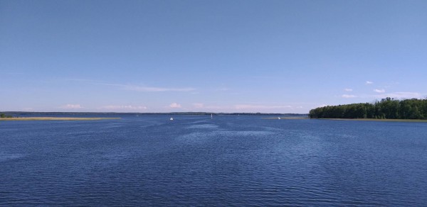 20190602_150333.jpg