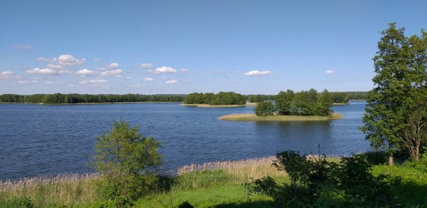 20190602_154946.jpg