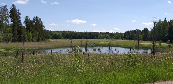 20190602_132553.jpg