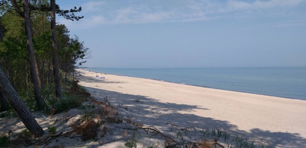 20190604_101130.jpg (192.79 KiB) 2891 mal betrachtet Strand