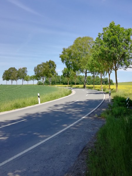 IMG_20190601_130617.jpg