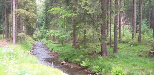 20190606_094950.jpg