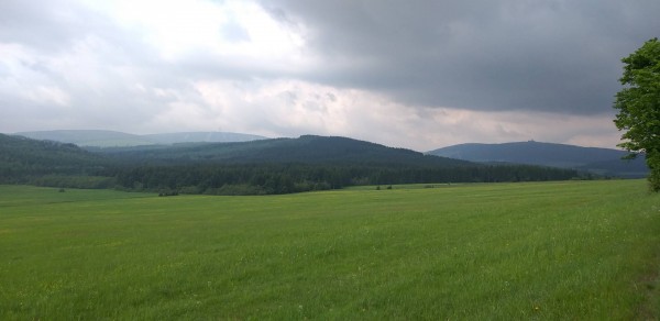 20190606_111642.jpg