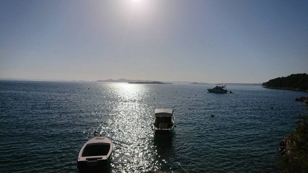 DSC_1163.JPG