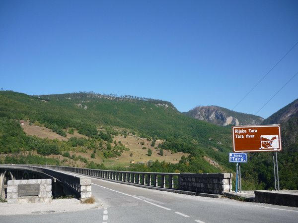 Tara Brücke