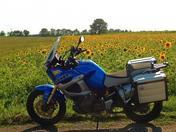 Hochsommer auf der Alb.jpg