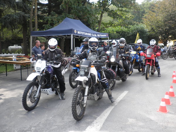diverse Moppeds