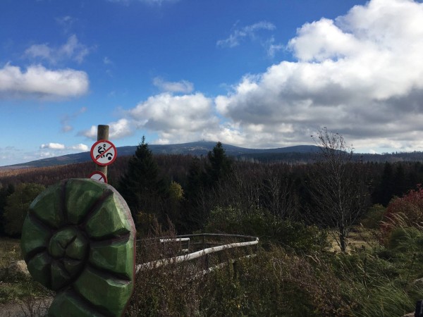 Harz, 12.10.19, 6.JPG