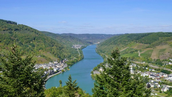 Blick vom Prinzenkopfturm