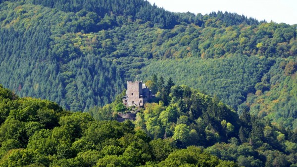 Blick vom Prinzenkopfturm &quot;Burg Arras&quot;